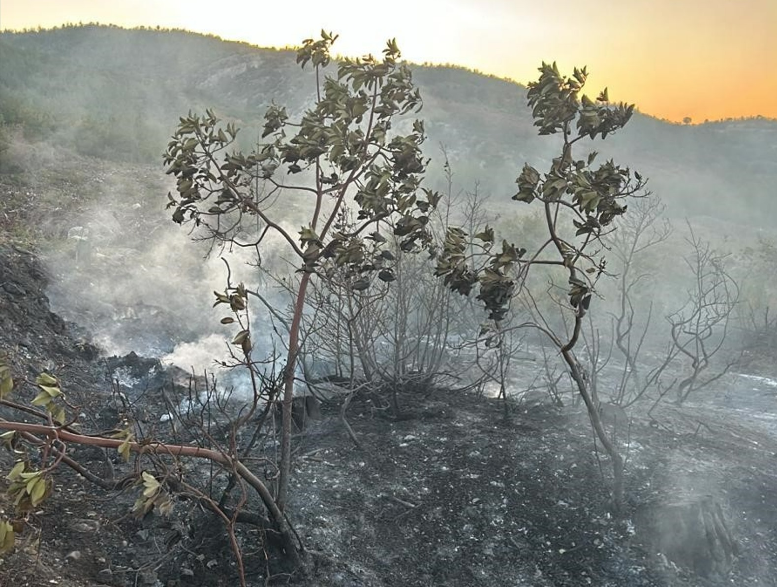 Yenişehir'de çıkan yangın anında müdahale ile kontrol altına alındı