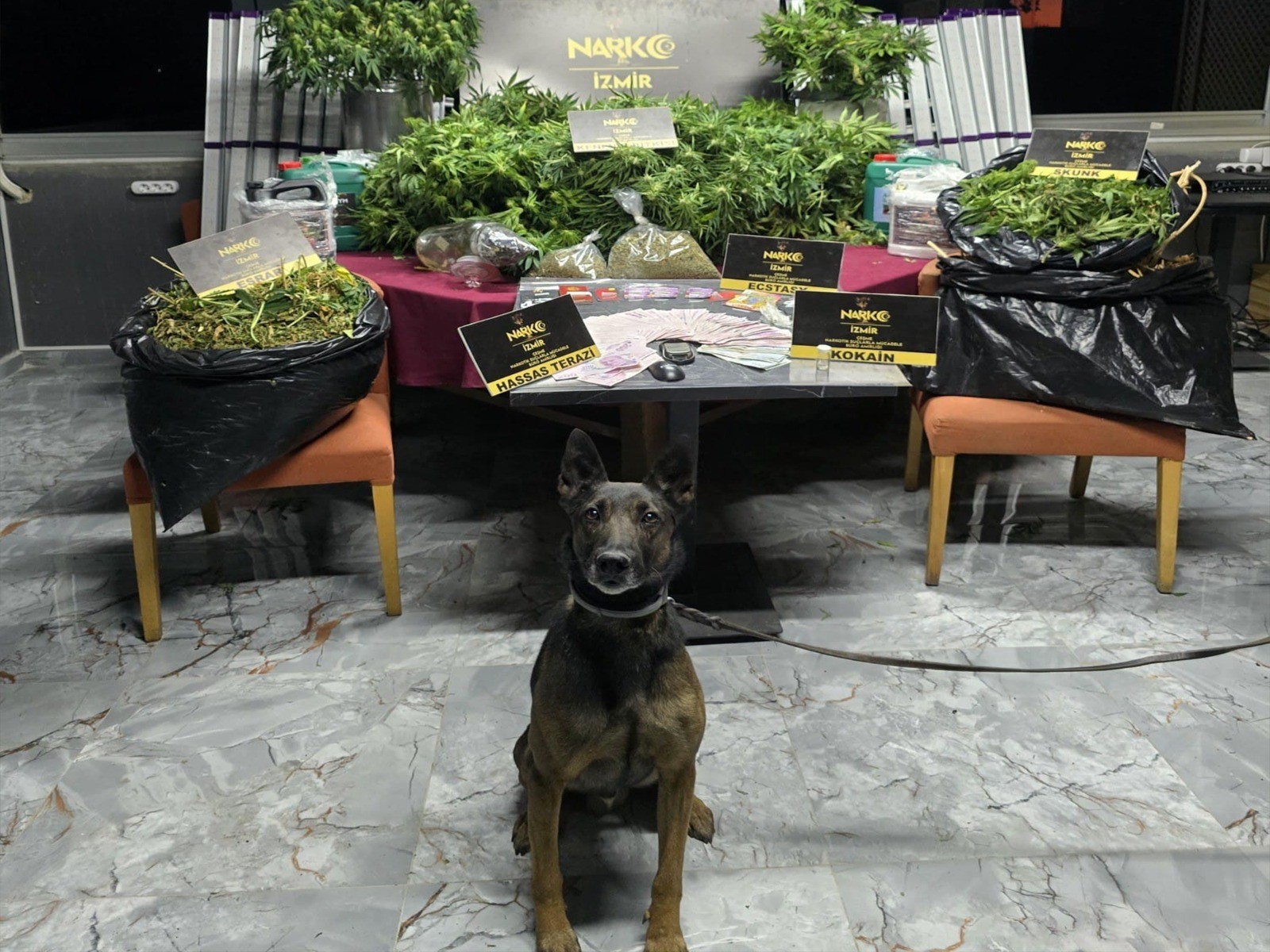 İzmir'de "Rex" operasyonu: Zehir tacirlerine büyük baskın