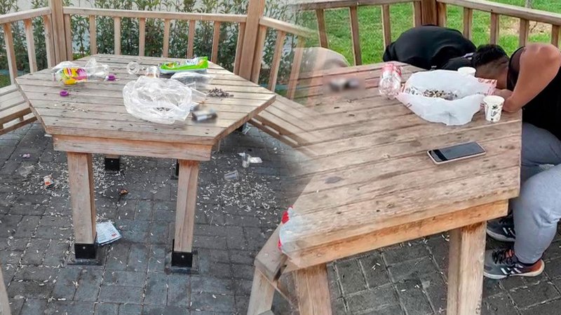 Çekirdek kabuklarını yere attılar, ceza yememek için tek tek topladılar!