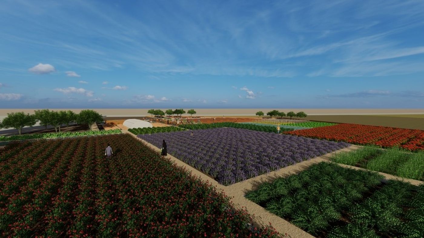 Diyarbakır'da tıbbi ve aromatik bitkiler için bahçe kuruluyor