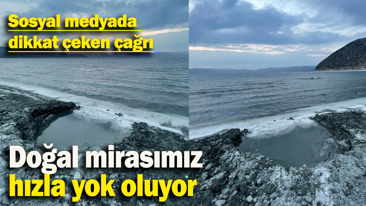 Doğal mirasımız  hızla yok oluyor: Sosyal medyada  dikkat çeken çağrı