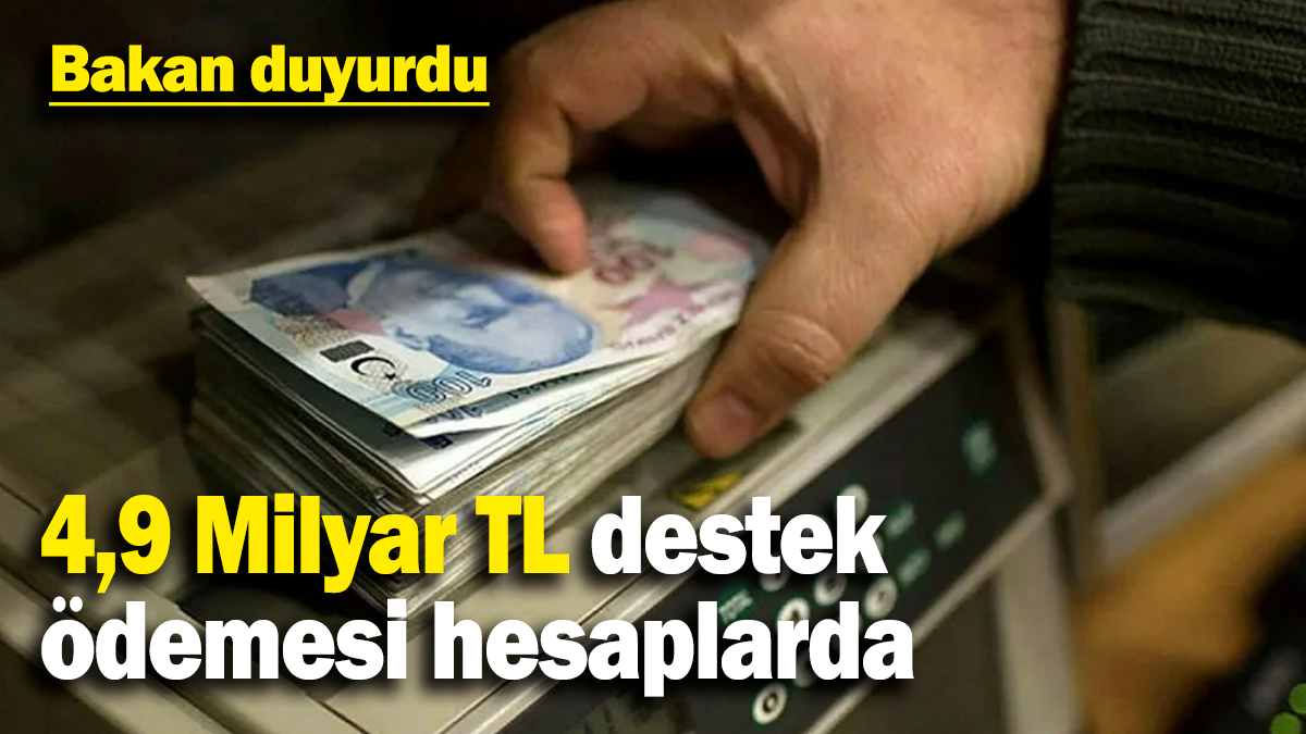 4,9 Milyar TL destek  ödemesi hesaplarda: Bakan duyurdu