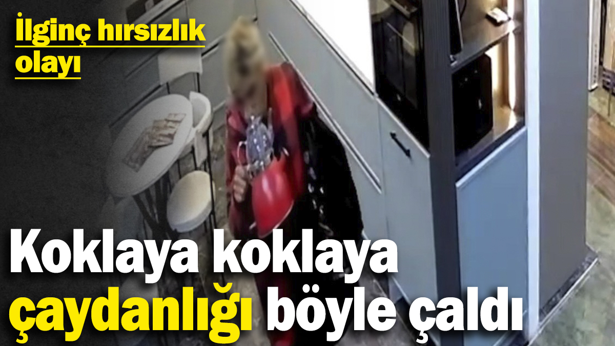 İlginç hırsızlık olayı: Koklaya koklaya çaydanlığı böyle çaldı