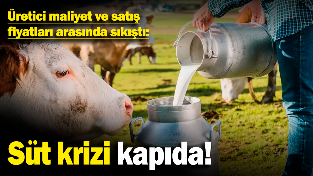 Üretici maliyet ve satış fiyatları arasında sıkıştı: Süt krizi kapıda!