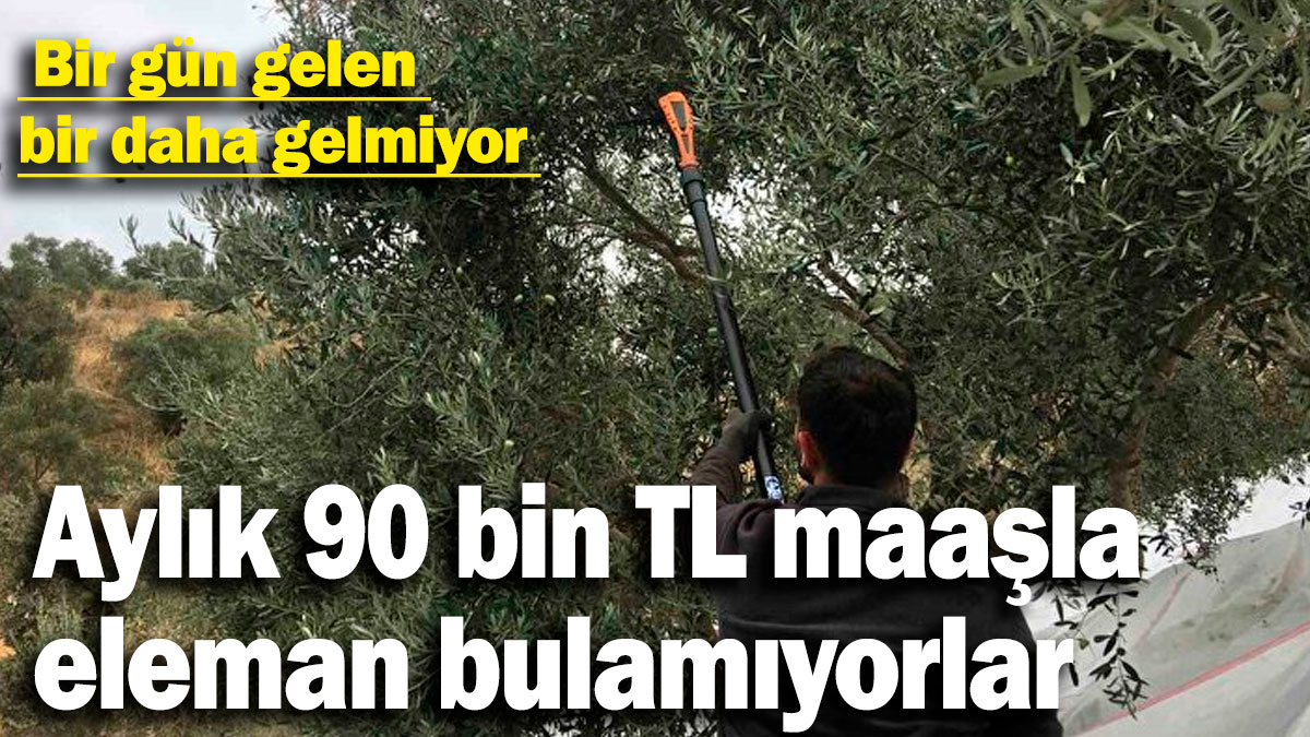 Aylık 90 bin TL maaşla eleman bulamıyorlar. Bir gün gelen bir daha gelmiyor