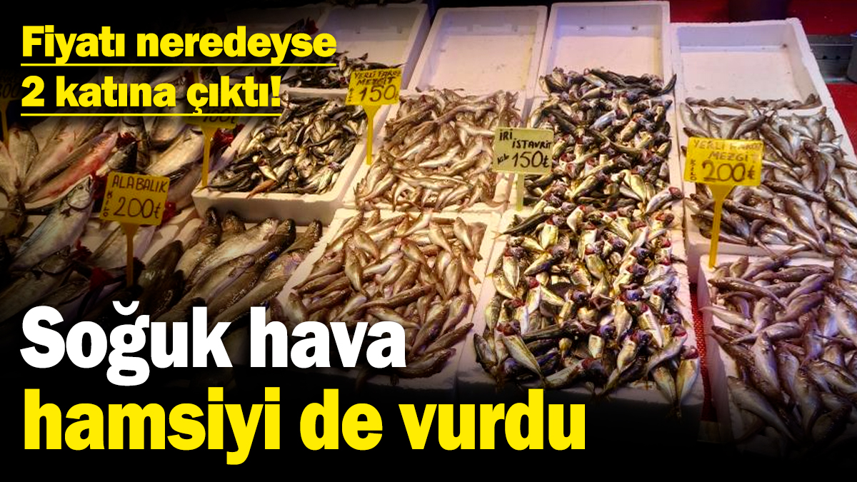 Soğuk hava hamsiyi de vurdu! Fiyatı neredeyse 2 katına çıktı