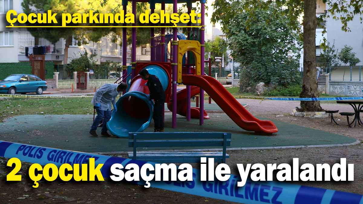 Çocuk parkında dehşet: 2 çocuk saçma ile yaralandı