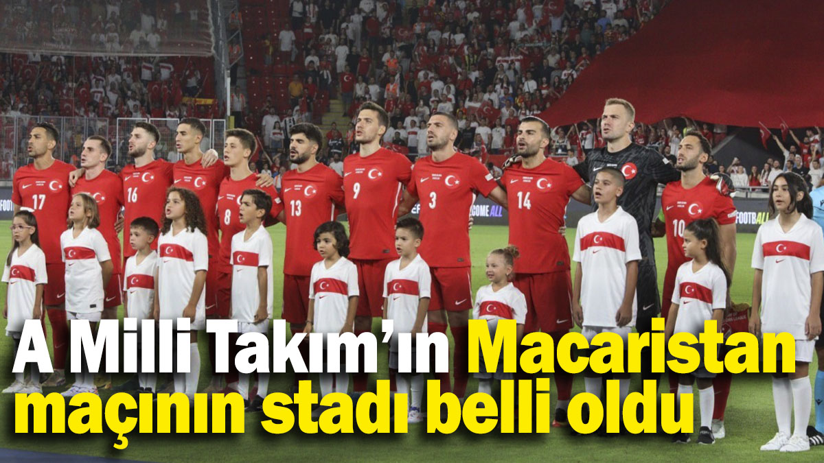 A Milli Takım'ın Macaristan maçının stadı belli oldu