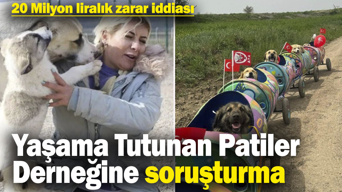 Yaşama Tutunan Patiler Derneğine soruşturma! 20 Milyon liralık zarar iddiası