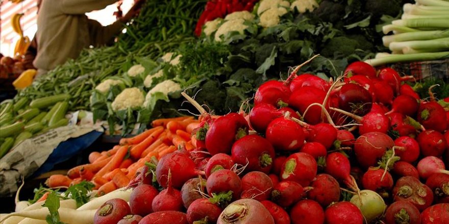 'Ata Tohum'larıyla üretilen kışlık sebzeler reyonlarda yerini alacak