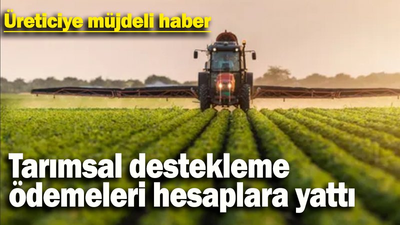 Tarımsal destekleme  ödemeleri hesaplara yattı: Üreticiye müjdeli haber