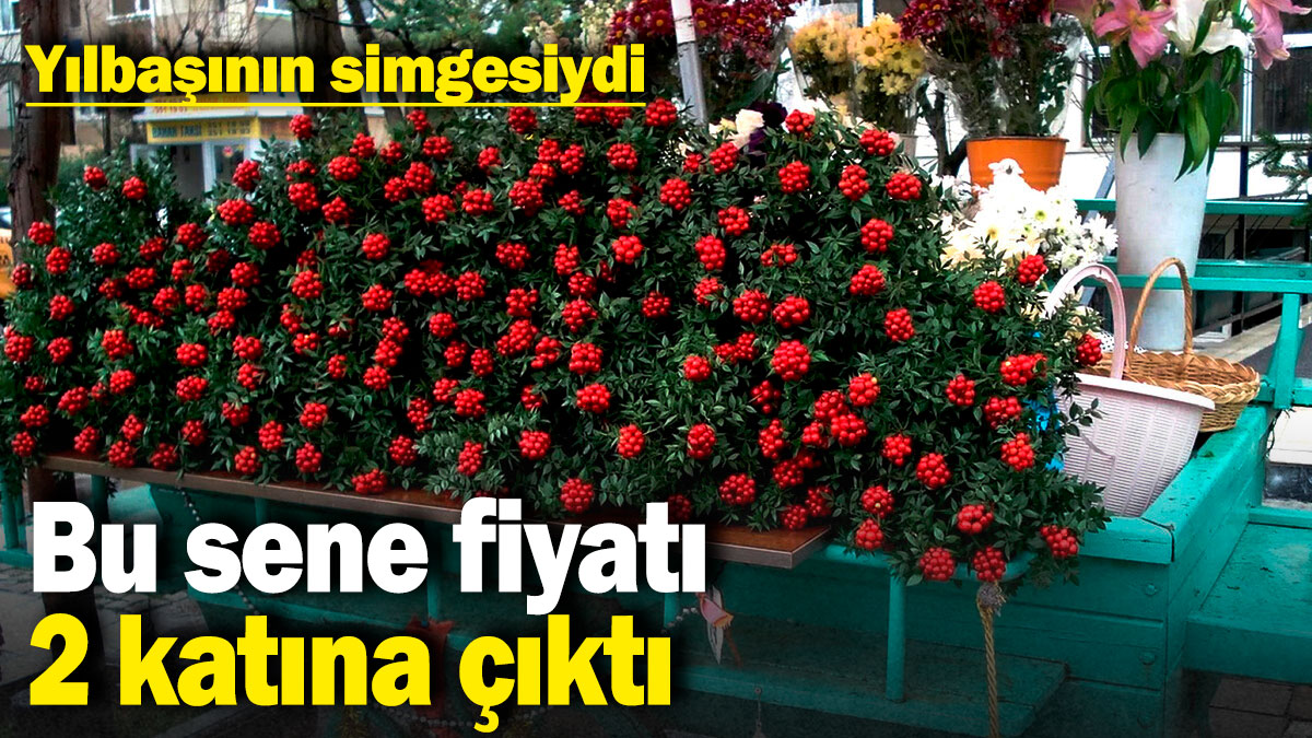 Yılbaşının simgesiydi: Bu sene fiyatı 2 katına çıktı