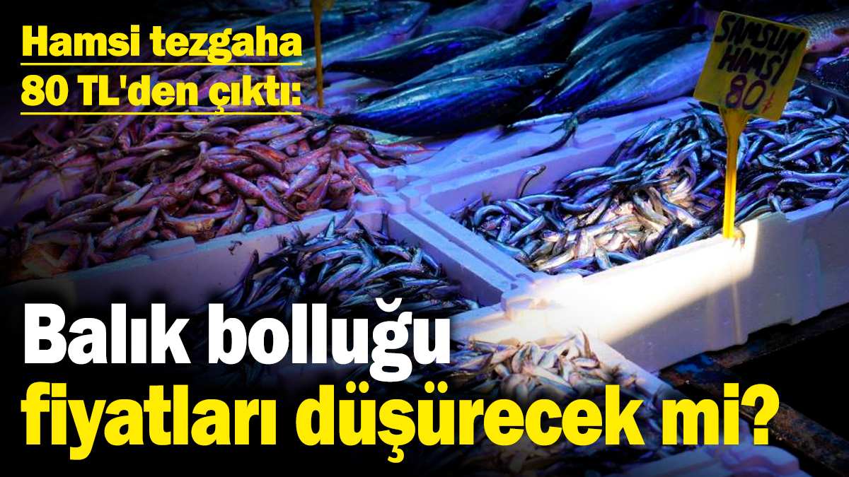 Hamsi tezgaha 80 TL'den çıktı: Balık bolluğu fiyatları düşürecek mi?