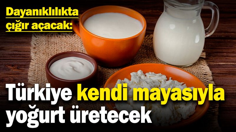 Türkiye kendi mayası ile yoğurt üretecek: Dayanıklılıkta çığır açacak