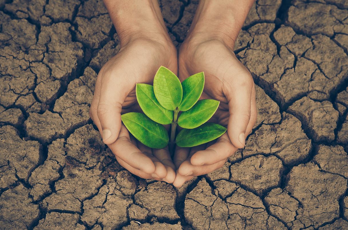 TÜİK açıkladı: Çevre koruma harcamaları attı