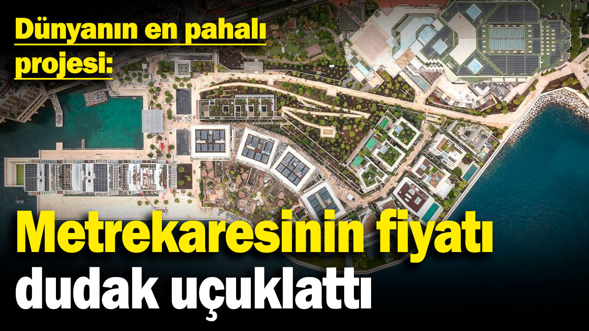 Dünyanın en pahalı projesi: Metrekaresinin fiyatı dudak uçuklattı