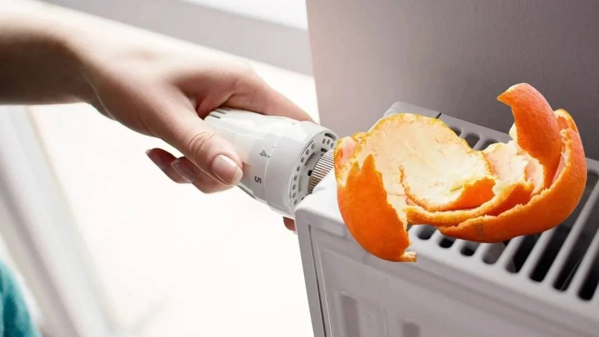 Kalorifer peteklerine portakal kabuğu koyunca bakın neler oluyor