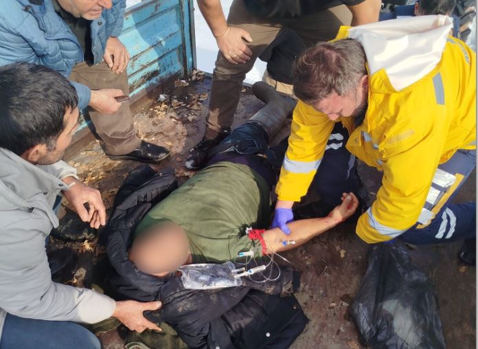 Ayı saldırısına uğramıştı: Kurtarılamadı