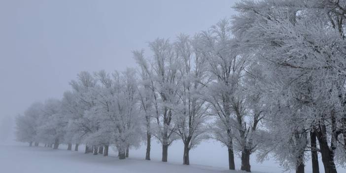 Termometreler -17'yi gördü: Türkiye'nin en soğuk ili belli oldu