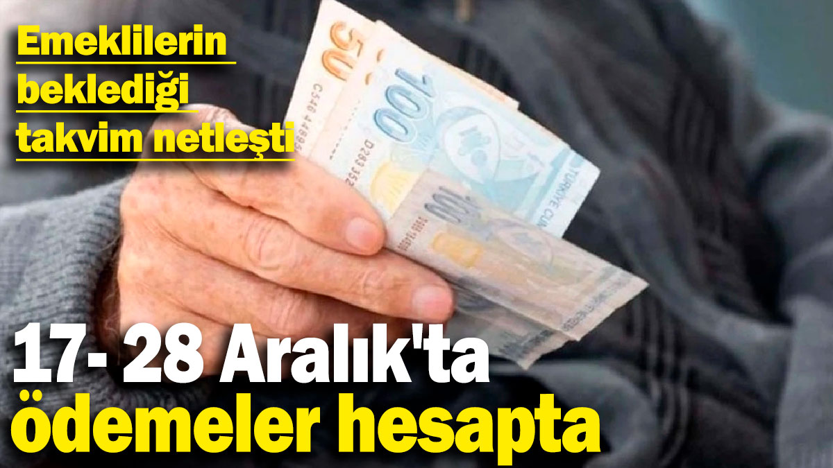 Emeklilerin beklediği takvim netleşti: 17- 28 Aralık'ta ödemeler hesapta