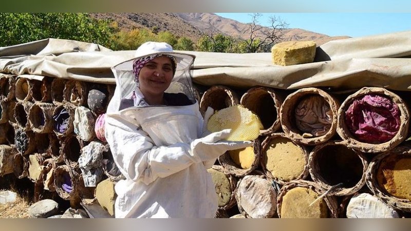 Hizanlı kadın arıcı 40 kovanı 4 yılda 750 kovana çıkardı