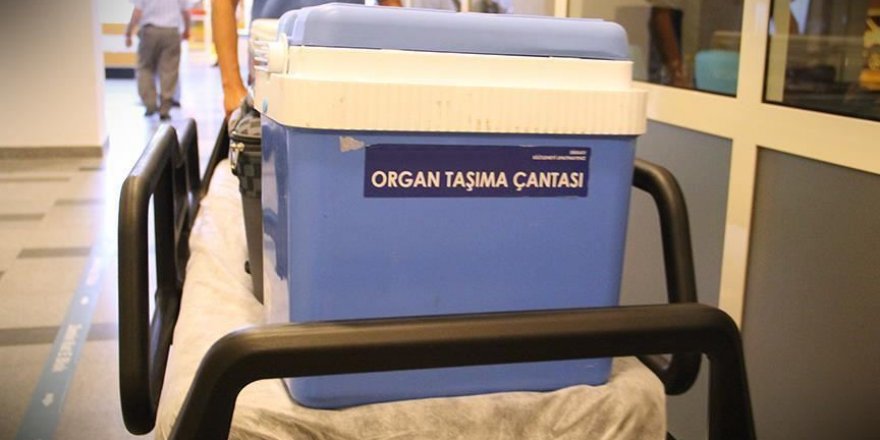 Türkiye'den dünyaya organ nakli eğitimi