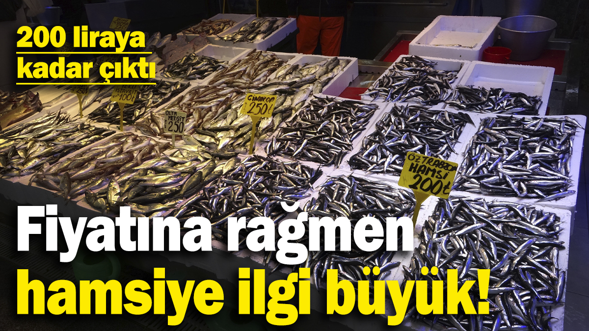 Kar suyuyla beslenen hamsiye fiyatına rağmen ilgi büyük!