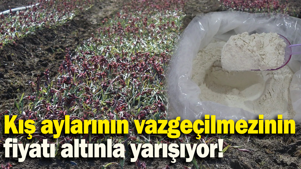 Kış aylarının vazgeçilmezinin fiyatı altınla yarışıyor