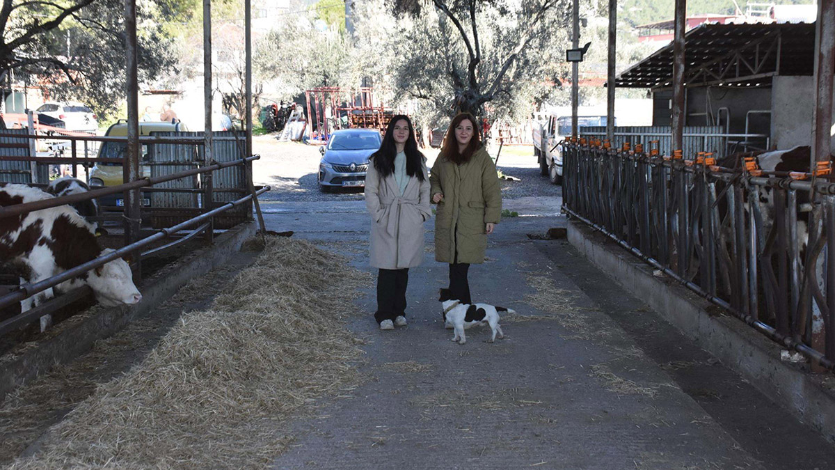 Üniversite mezunu kız kardeşler, devlet desteğiyle hayvancılık yapıyor!