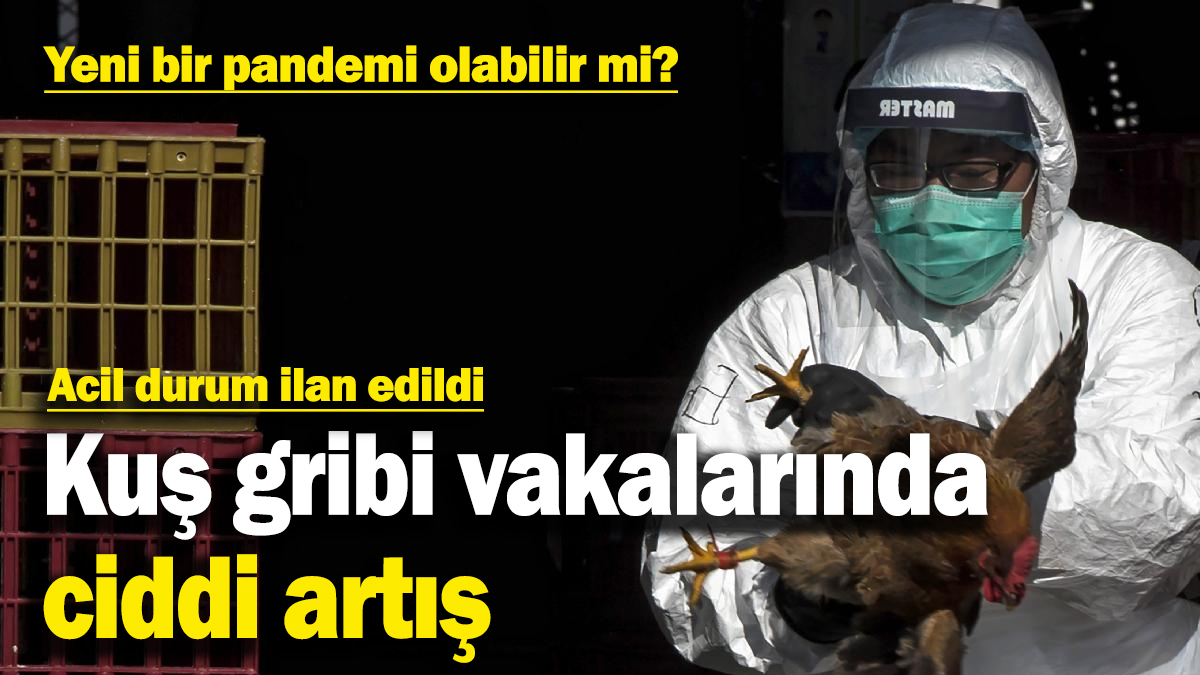 Kuş gribi vakalarında ciddi artış! Acil durum ilan edildi