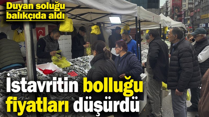 İstavritin bolluğu fiyatları düşürdü! Duyan soluğu balıkçıda aldı