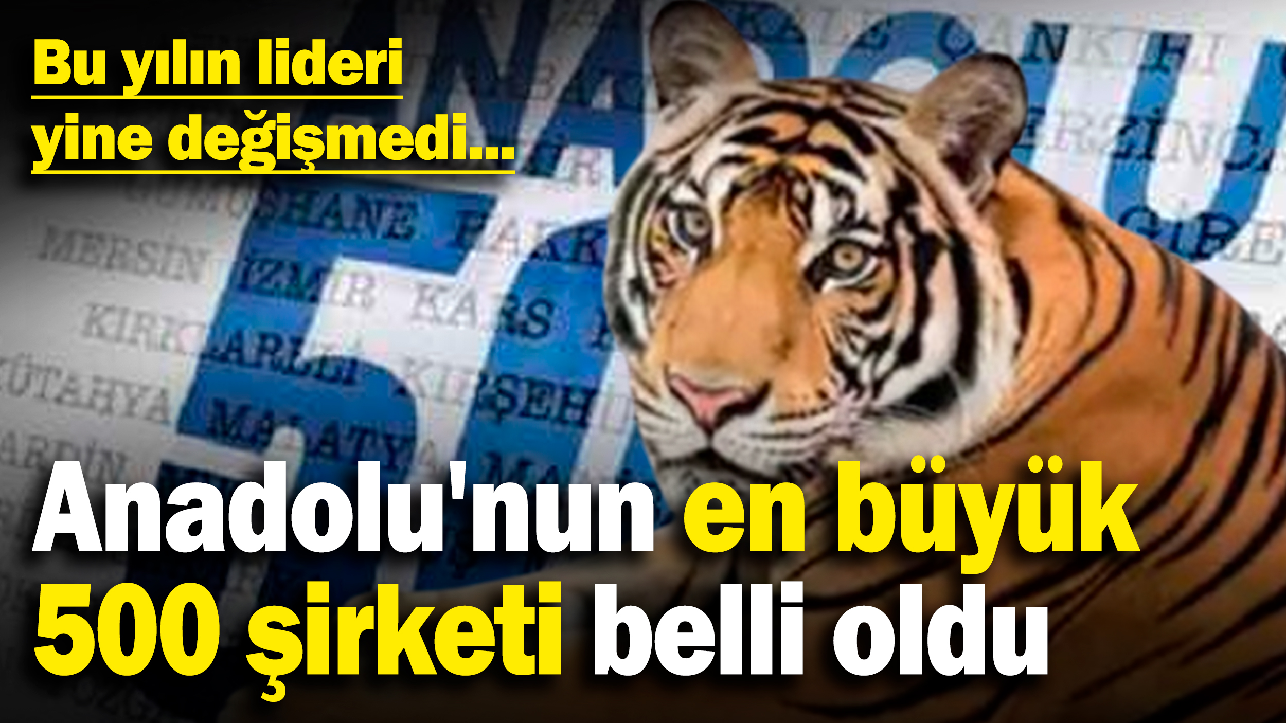 Anadolu'nun en büyük 500 şirketi belli oldu! Bu yılın lideri yine değişmedi