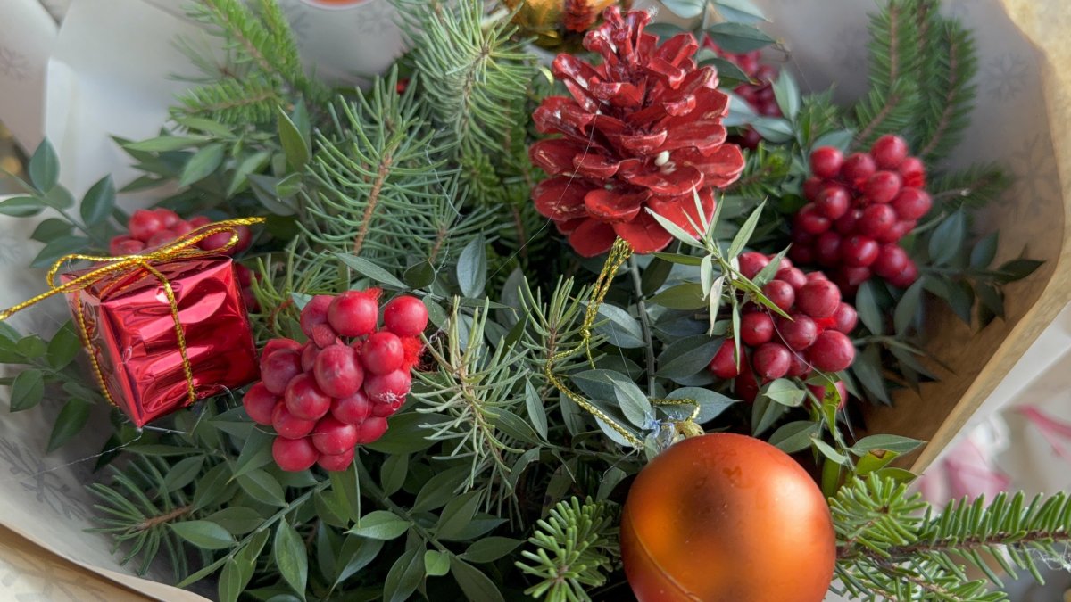 Tavşan Memesi otu ve silcan meyvesine yoğun ilgi