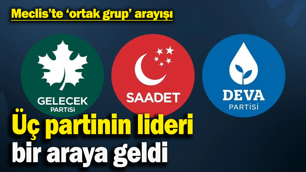 Mecliste ‘ortak grup’ arayışı: Deva, Saadet ve Gelecek liderleri bir araya geldi