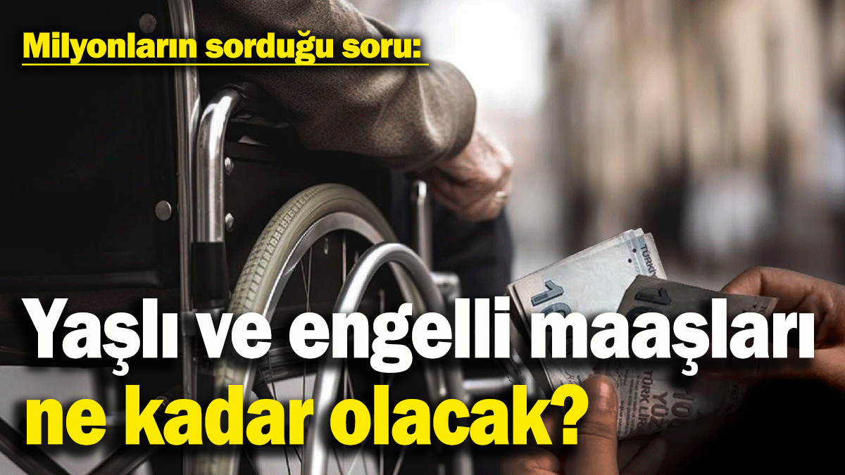 65 yaş aylığı ve engelli maaşları ne kadar olacak?