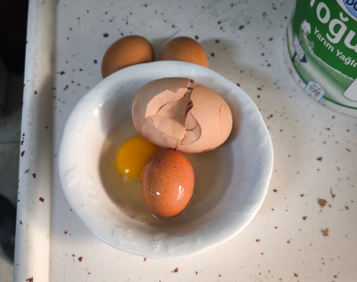 Erzincan'da kümesten gelen sürpriz! Yumurtayı kırınca gözlerine inanamadı