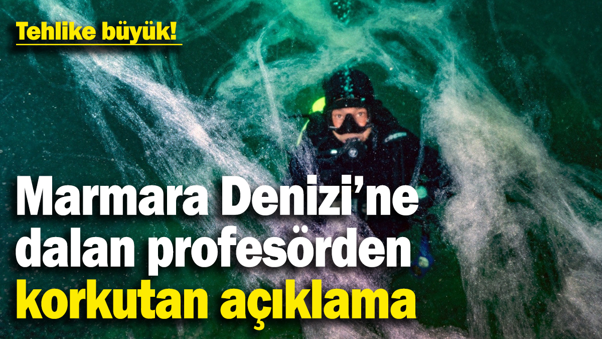 Marmara Denizi’ne dalan profesörden korkutan açıklama: Bütün denize yayılmış