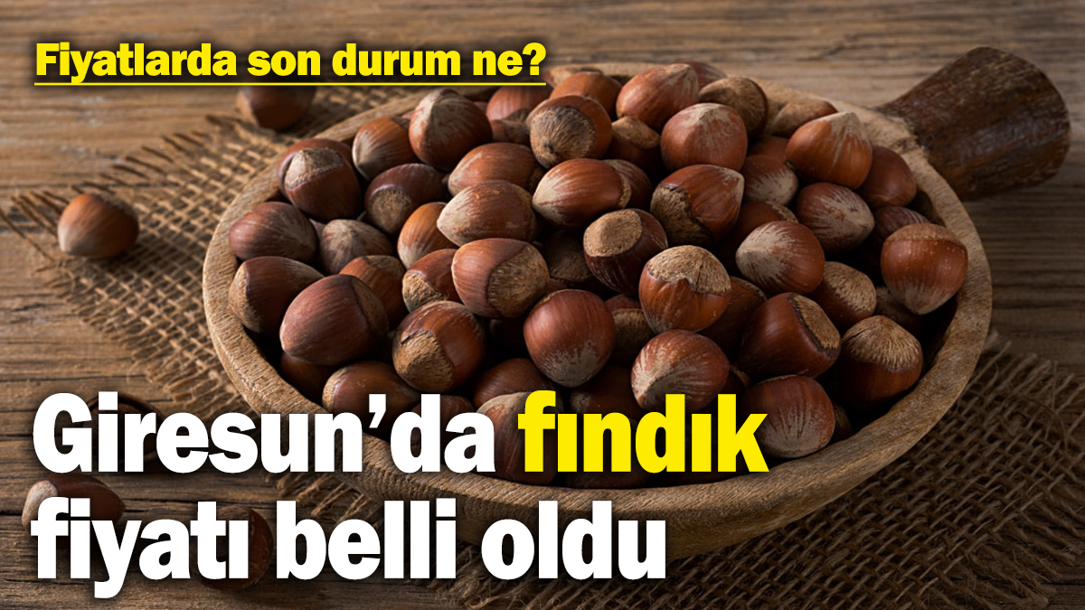 Giresun’da fındık fiyatı belli oldu: Fiyatlarda son durum ne?