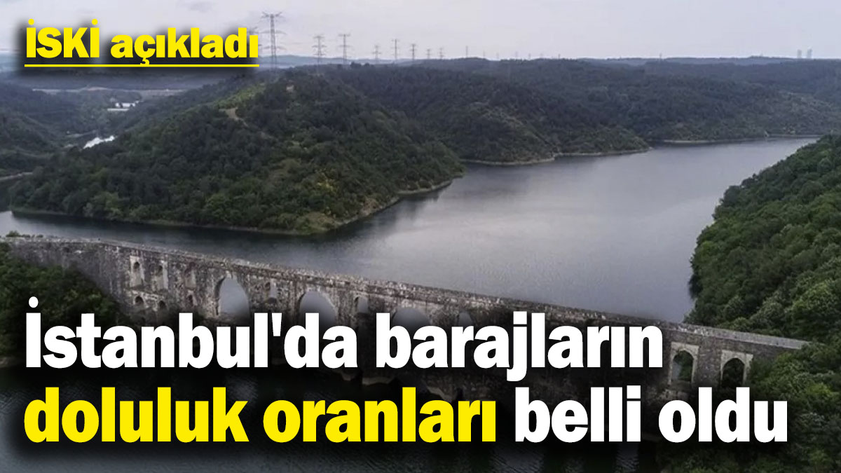 İSKİ açıkladı: İstanbul'da barajların doluluk oranları belli oldu