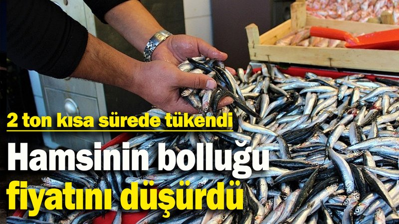 Hamsinin bolluğu fiyatını düşürdü: 2 ton kısa sürede tükendi
