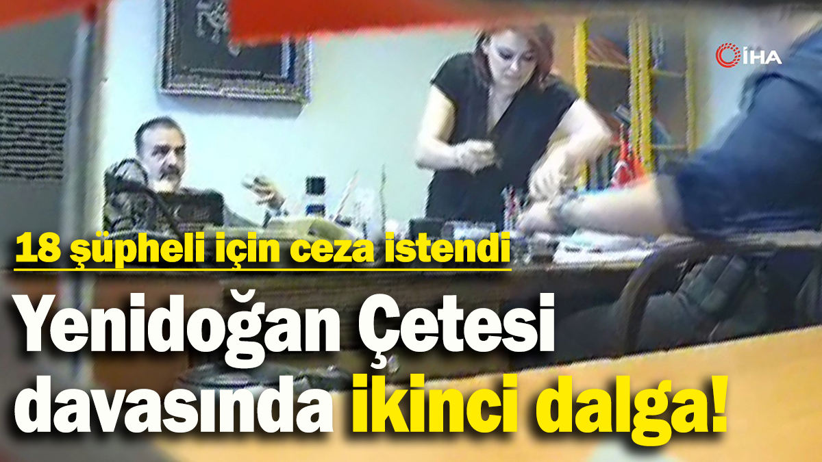 Yenidoğan Çetesi  davasında ikinci dalga: 18 şüpheli için ceza istendi