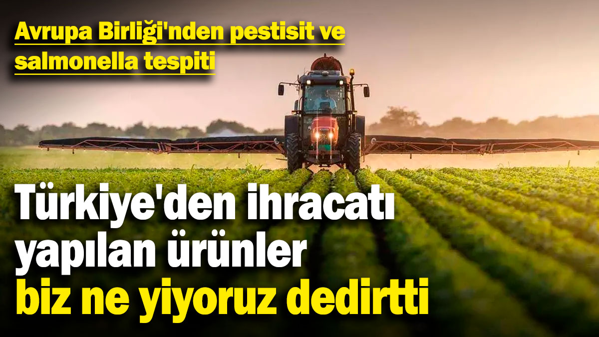 Türkiye'den ihracatı yapılan ürünler biz ne yiyoruz dedirtti! Avrupa Birliği'nden pestisit ve salmonella tespiti