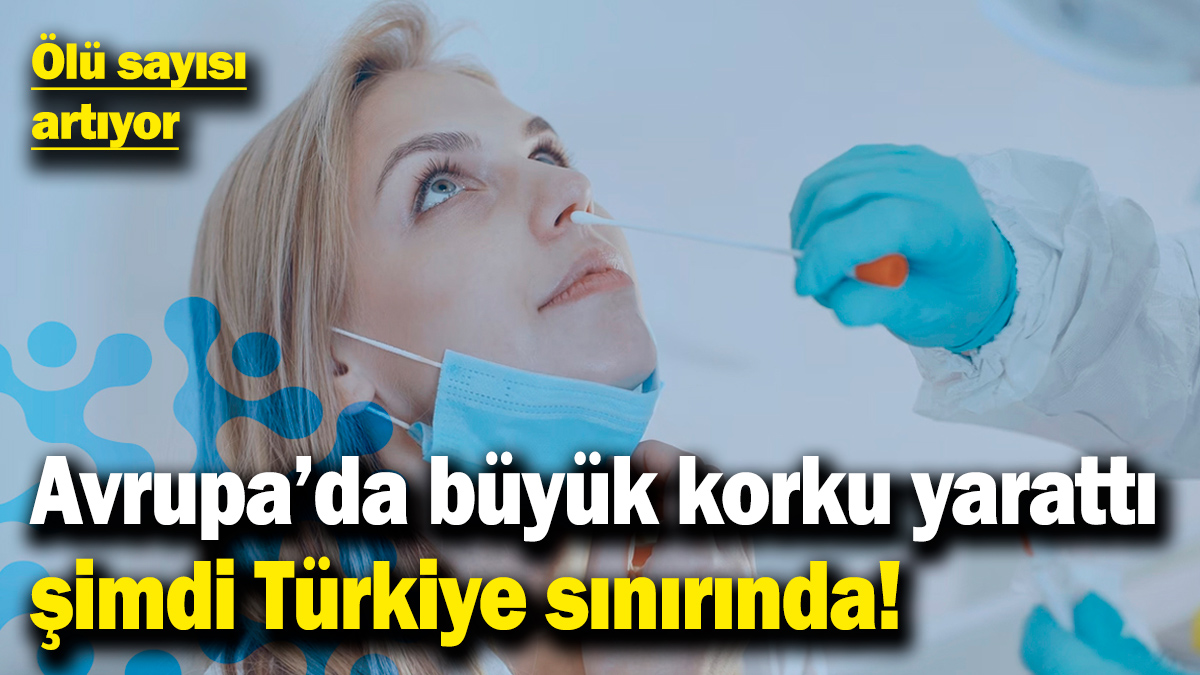 Avrupa'da büyük korku yarattı şimdi Türkiye sınırında! Ölü sayısı artıyor