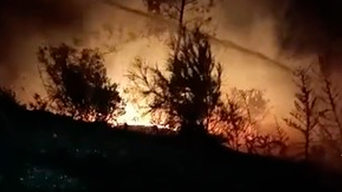 Hatay'da ormanlık alanda yangın çıktı