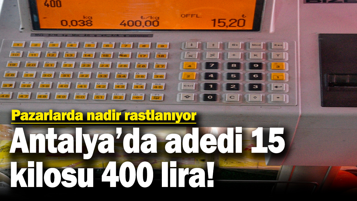 Antalya'da adedi 15 kilosu 400 lira! Pazarlarda nadir rastlanıyor