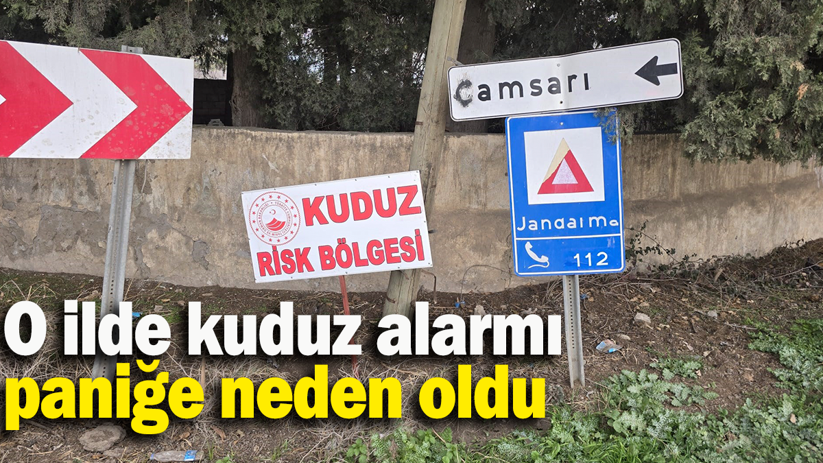 O ilde kuduz alarmı paniğe neden oldu