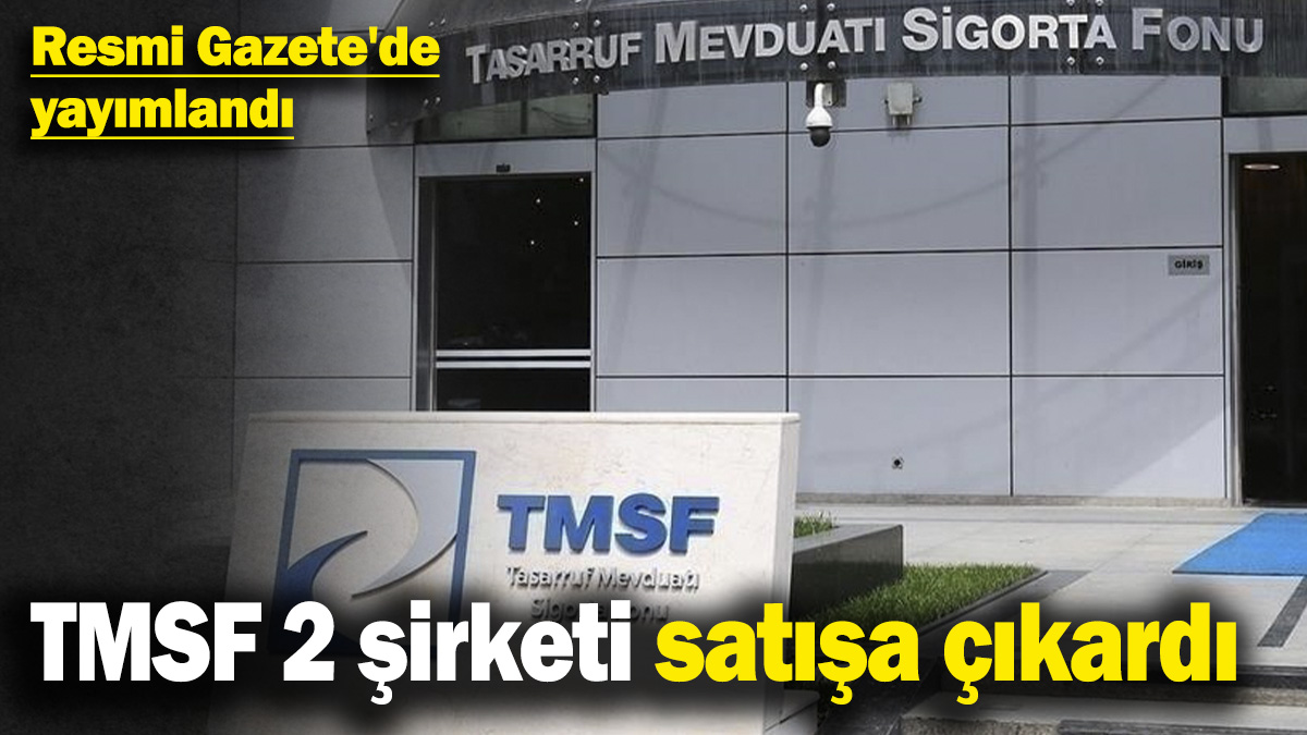 TMSF 2 şirketi satışa çıkardı! Resmi Gazete'de yayımlandı