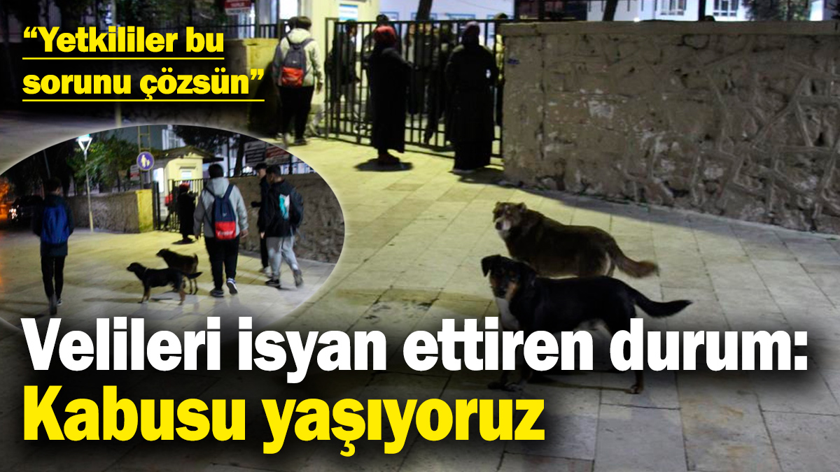 Okul saatleri ile ilgili veliler isyan etti: Kabusu yaşıyoruz!