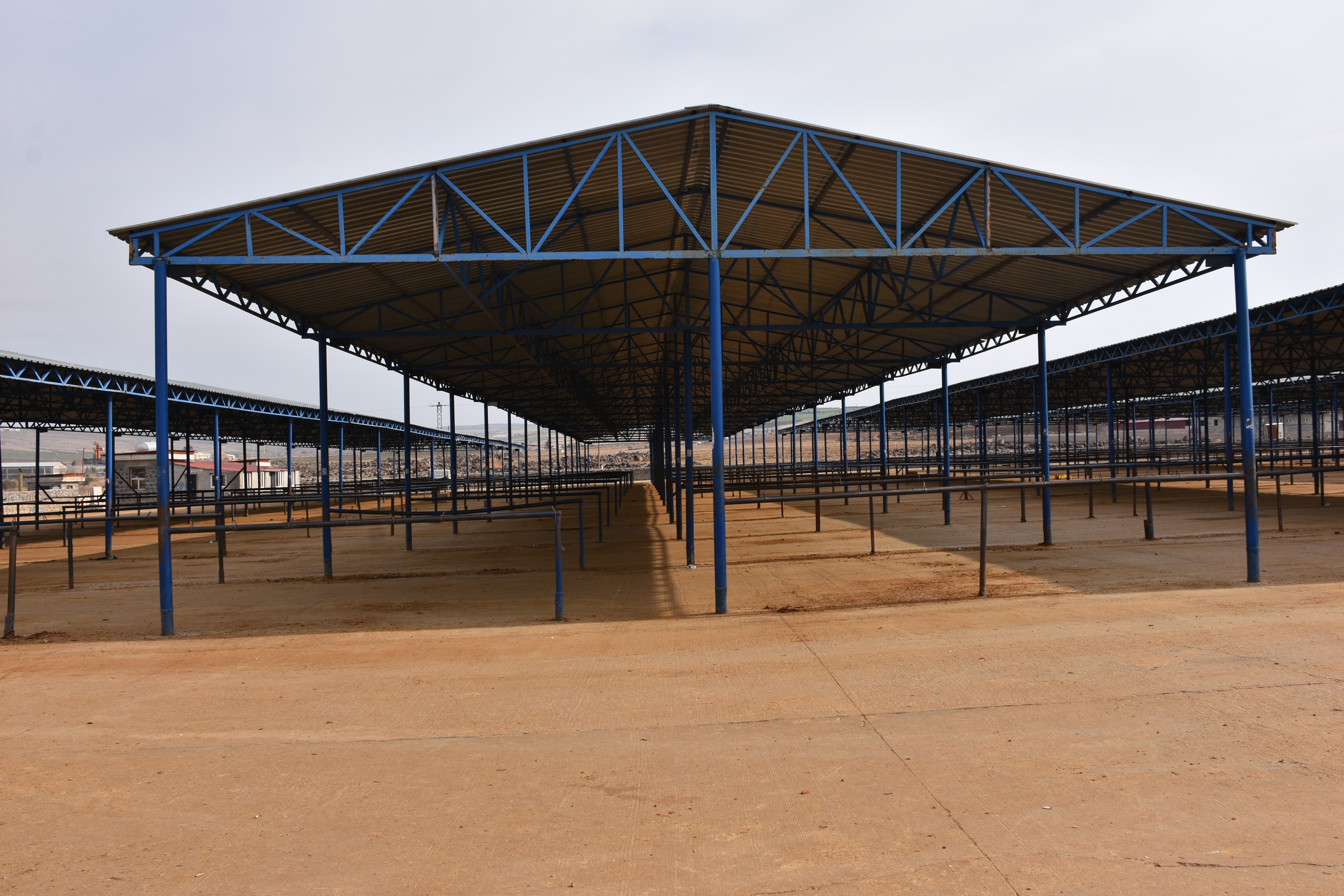 Siverek'te hayvan pazarı 15 gün süreyle kapatıldı