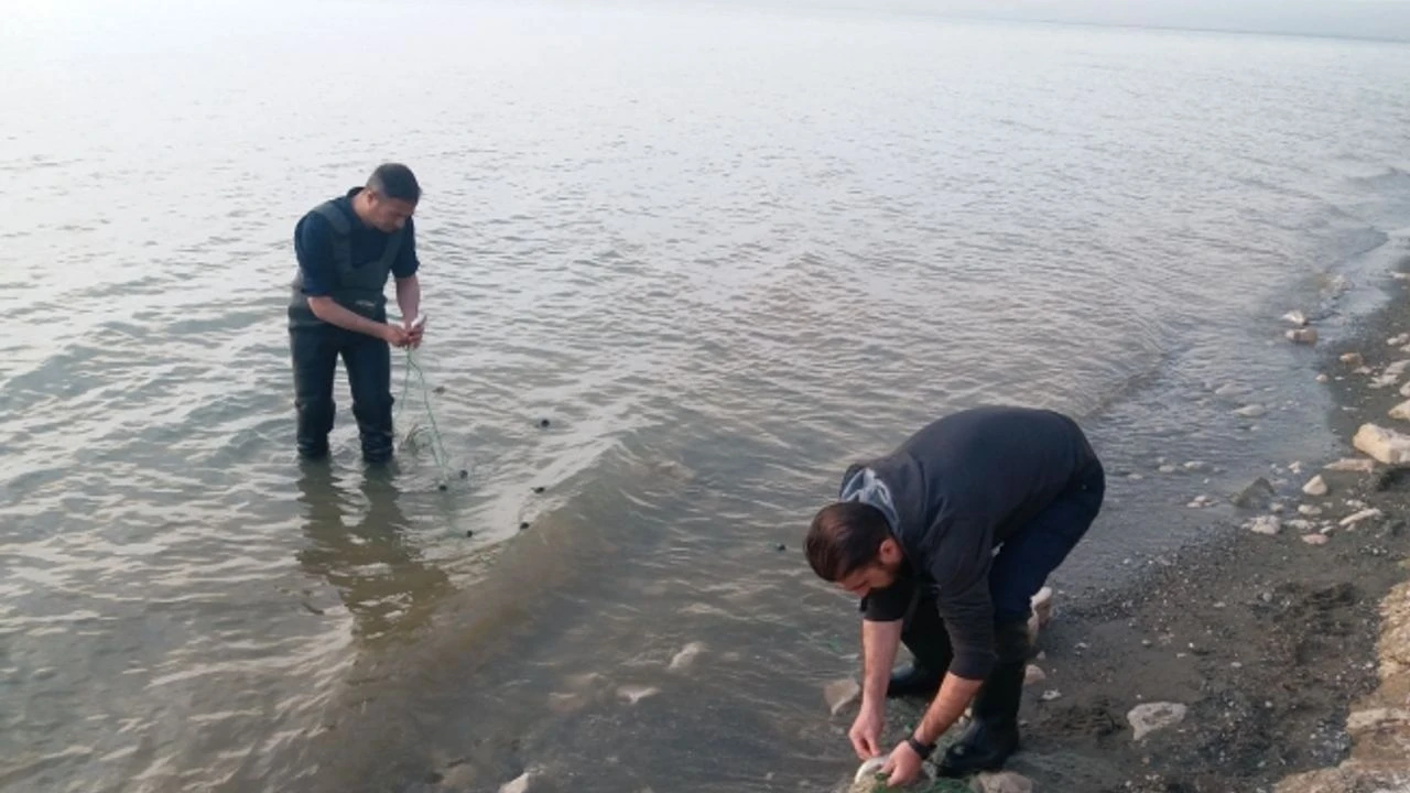Bir zamanlar balık bile bulunamıyordu: Erçek Gölü şimdi balıkçıların geçim kaynağı